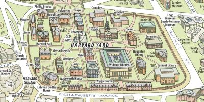Mapa da universidade de Harvard
